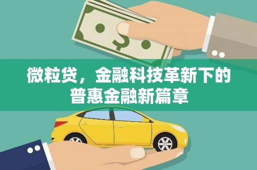 苍溪微粒贷，金融科技革新下的普惠金融新篇章