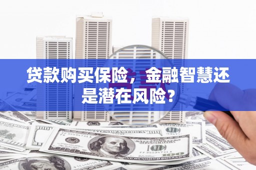苍溪贷款购买保险，金融智慧还是潜在风险？