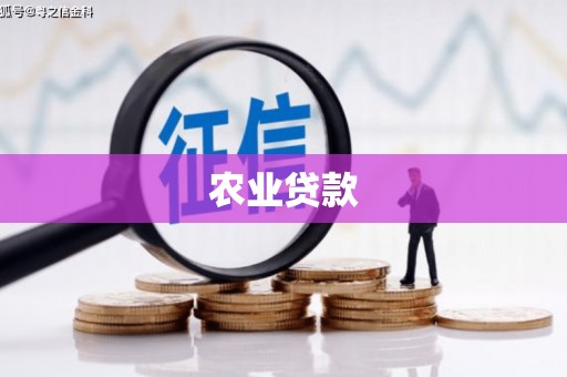 苍溪农业贷款