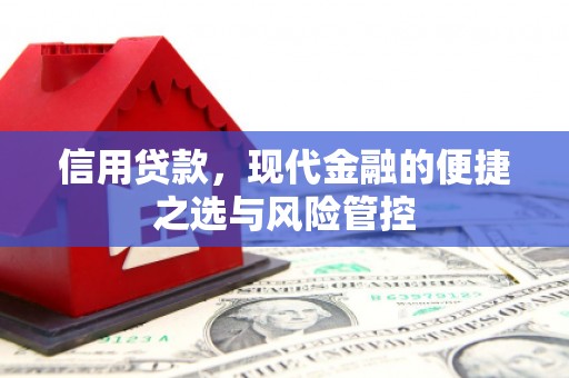 苍溪信用贷款，现代金融的便捷之选与风险管控