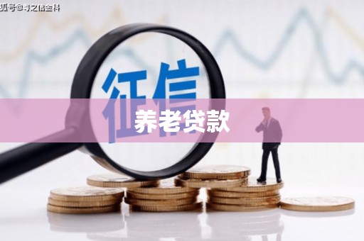 苍溪养老贷款