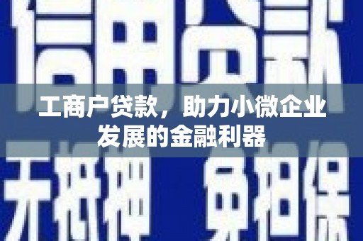苍溪工商户贷款，助力小微企业发展的金融利器