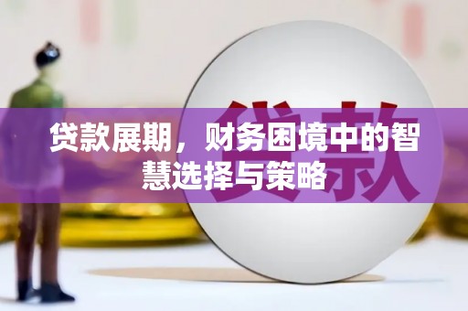苍溪贷款展期，财务困境中的智慧选择与策略