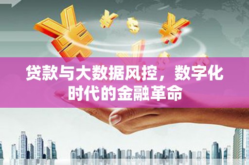 苍溪贷款与大数据风控，数字化时代的金融革命