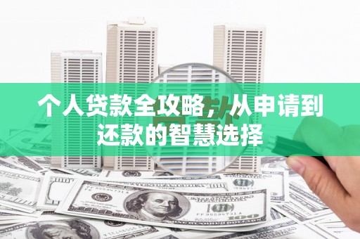 苍溪个人贷款全攻略，从申请到还款的智慧选择