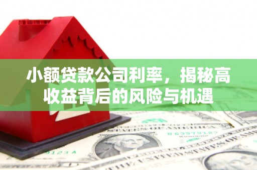 苍溪小额贷款公司利率，揭秘高收益背后的风险与机遇