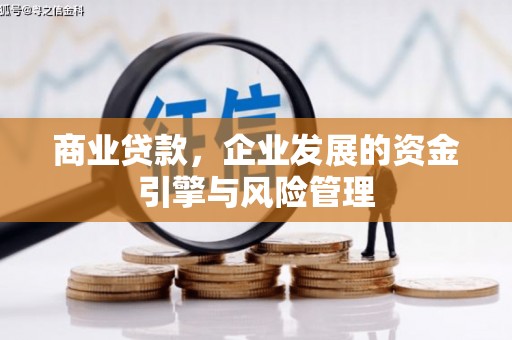 苍溪商业贷款，企业发展的资金引擎与风险管理
