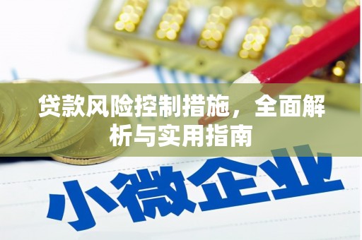 苍溪贷款风险控制措施，全面解析与实用指南