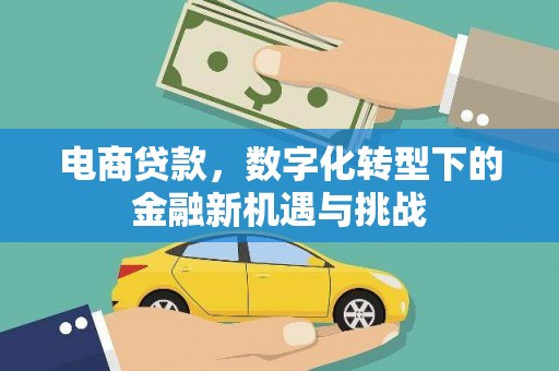 苍溪电商贷款，数字化转型下的金融新机遇与挑战