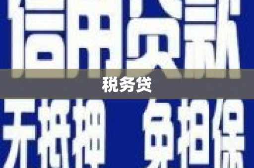 苍溪税务贷