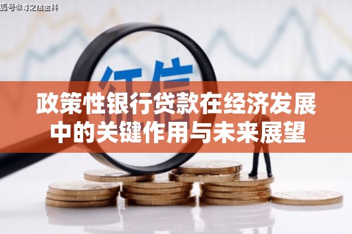 苍溪政策性银行贷款在经济发展中的关键作用与未来展望