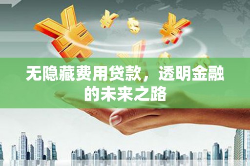 苍溪无隐藏费用贷款，透明金融的未来之路