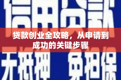 苍溪贷款创业全攻略，从申请到成功的关键步骤