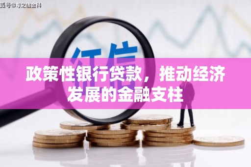 苍溪政策性银行贷款，推动经济发展的金融支柱