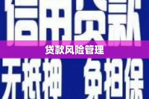 苍溪贷款风险管理