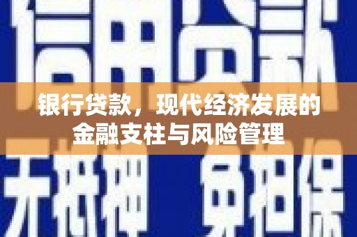 苍溪银行贷款，现代经济发展的金融支柱与风险管理