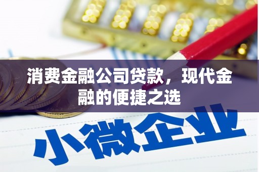 苍溪消费金融公司贷款，现代金融的便捷之选