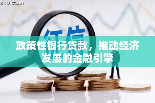 苍溪政策性银行贷款，推动经济发展的金融引擎