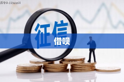 苍溪借呗