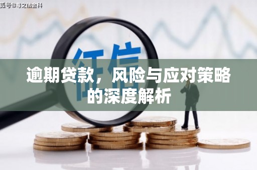 苍溪逾期贷款，风险与应对策略的深度解析