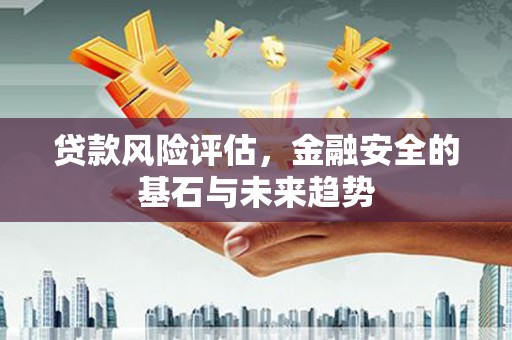 苍溪贷款风险评估，金融安全的基石与未来趋势
