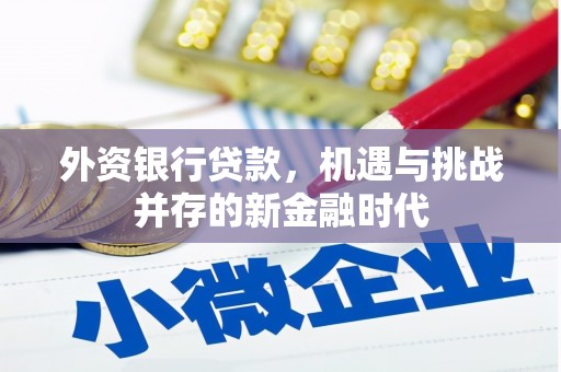 苍溪外资银行贷款，机遇与挑战并存的新金融时代