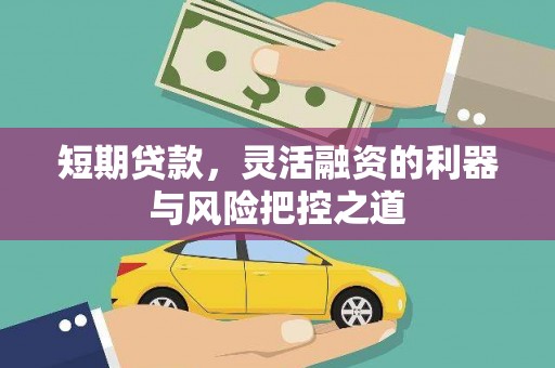 苍溪短期贷款，灵活融资的利器与风险把控之道