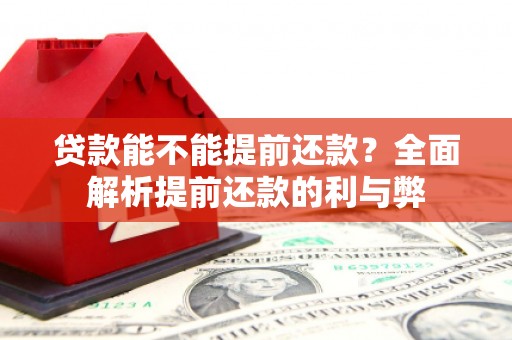 苍溪贷款能不能提前还款？全面解析提前还款的利与弊