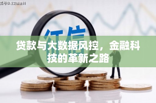 苍溪贷款与大数据风控，金融科技的革新之路
