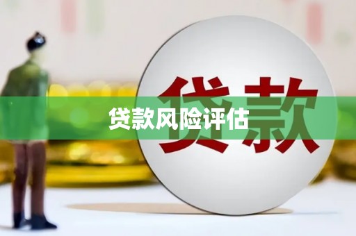 苍溪贷款风险评估