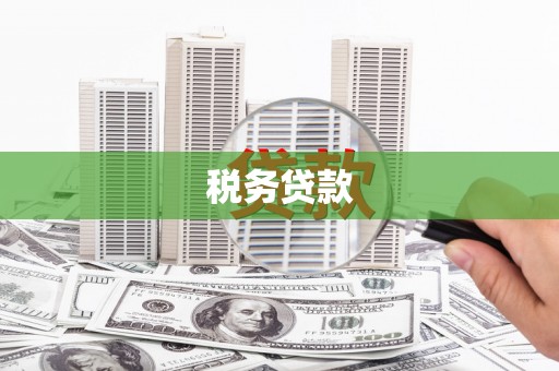 苍溪税务贷款