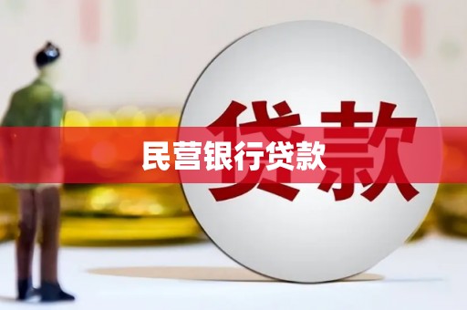 苍溪民营银行贷款