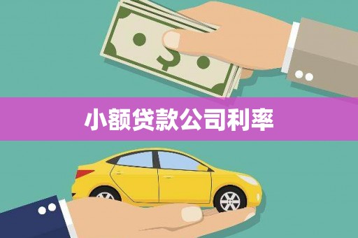 苍溪小额贷款公司利率
