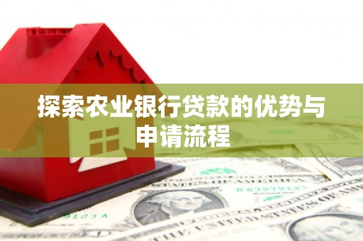 苍溪探索农业银行贷款的优势与申请流程