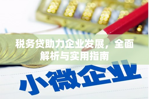 苍溪税务贷助力企业发展，全面解析与实用指南