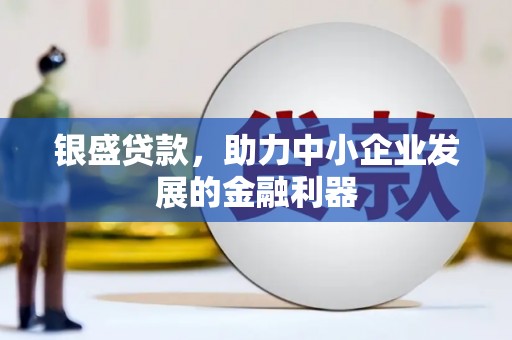 苍溪银盛贷款，助力中小企业发展的金融利器