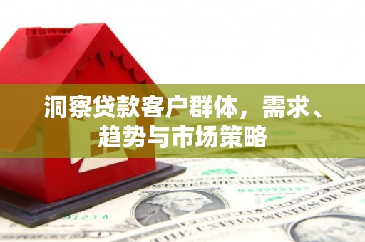 苍溪洞察贷款客户群体，需求、趋势与市场策略