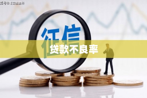 苍溪贷款不良率