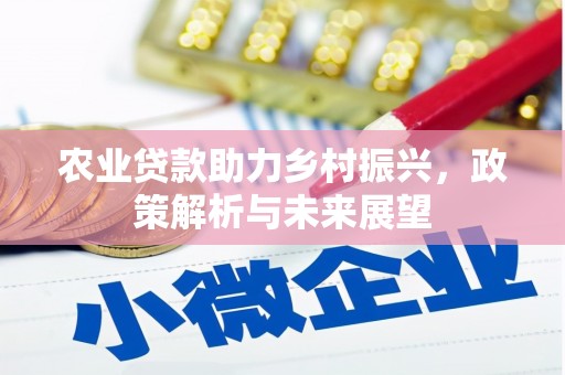 苍溪农业贷款助力乡村振兴，政策解析与未来展望