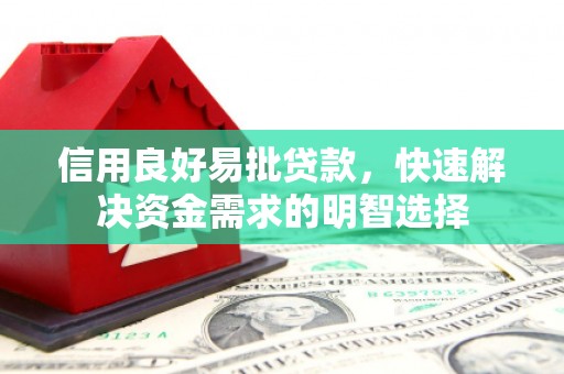 苍溪信用良好易批贷款，快速解决资金需求的明智选择