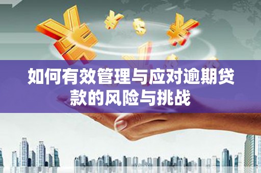 苍溪如何有效管理与应对逾期贷款的风险与挑战