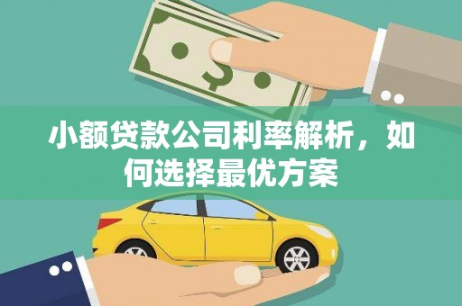 苍溪小额贷款公司利率解析，如何选择最优方案