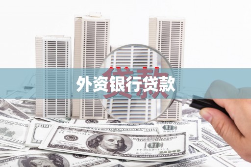 苍溪外资银行贷款