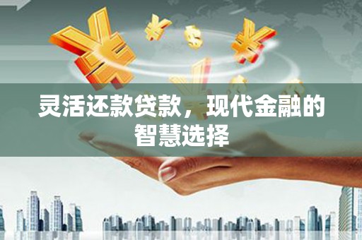 苍溪灵活还款贷款，现代金融的智慧选择