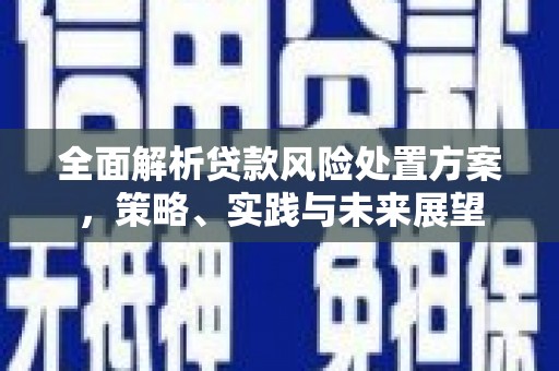 苍溪全面解析贷款风险处置方案，策略、实践与未来展望