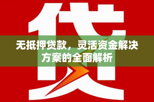 苍溪无抵押贷款，灵活资金解决方案的全面解析