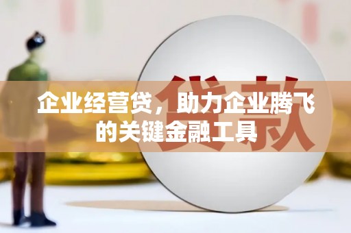 苍溪企业经营贷，助力企业腾飞的关键金融工具