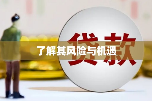苍溪了解其风险与机遇