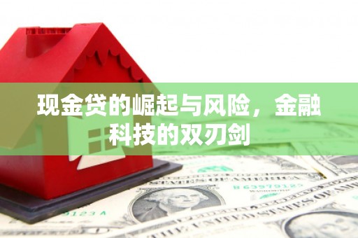 苍溪现金贷的崛起与风险，金融科技的双刃剑