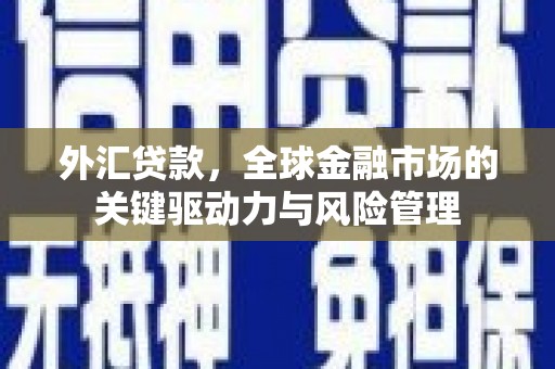 苍溪外汇贷款，全球金融市场的关键驱动力与风险管理